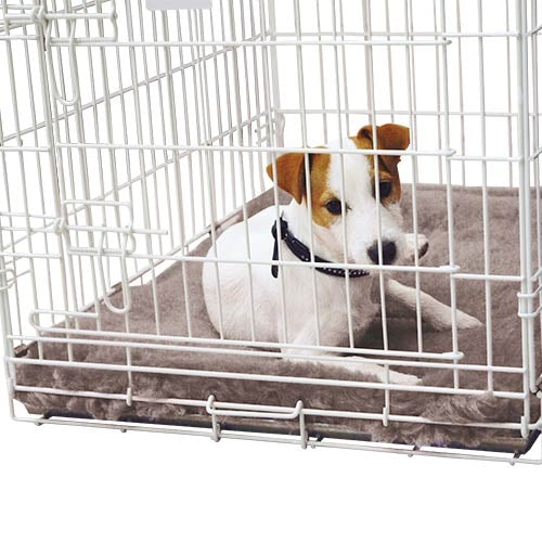 VetBet Gris 1000 G./M. Deux tailles au choix - Petdesign.fr Setter Bakio S.L. Vie Quotidienne pour chien en France, produit de haute qualité