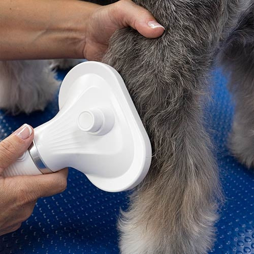 Brosse séchante Ulysse - Idéal pour Particuliers - Petdesign.fr Setter Bakio S.L. Toilettage pour chien en France, produit de haute qualité