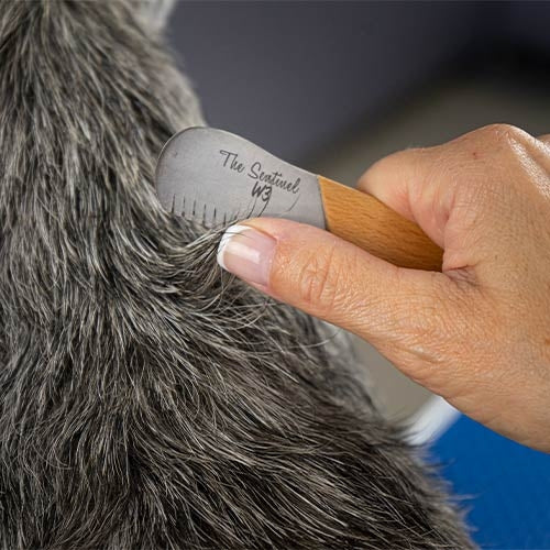 Gaucher : Couteaux à épiler "The Sentinel" - Petdesign.fr Setter Bakio S.L. pour chien en France, produit de haute qualité