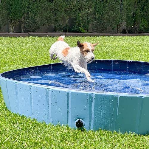 Dog pool (3 sizes to choose from)