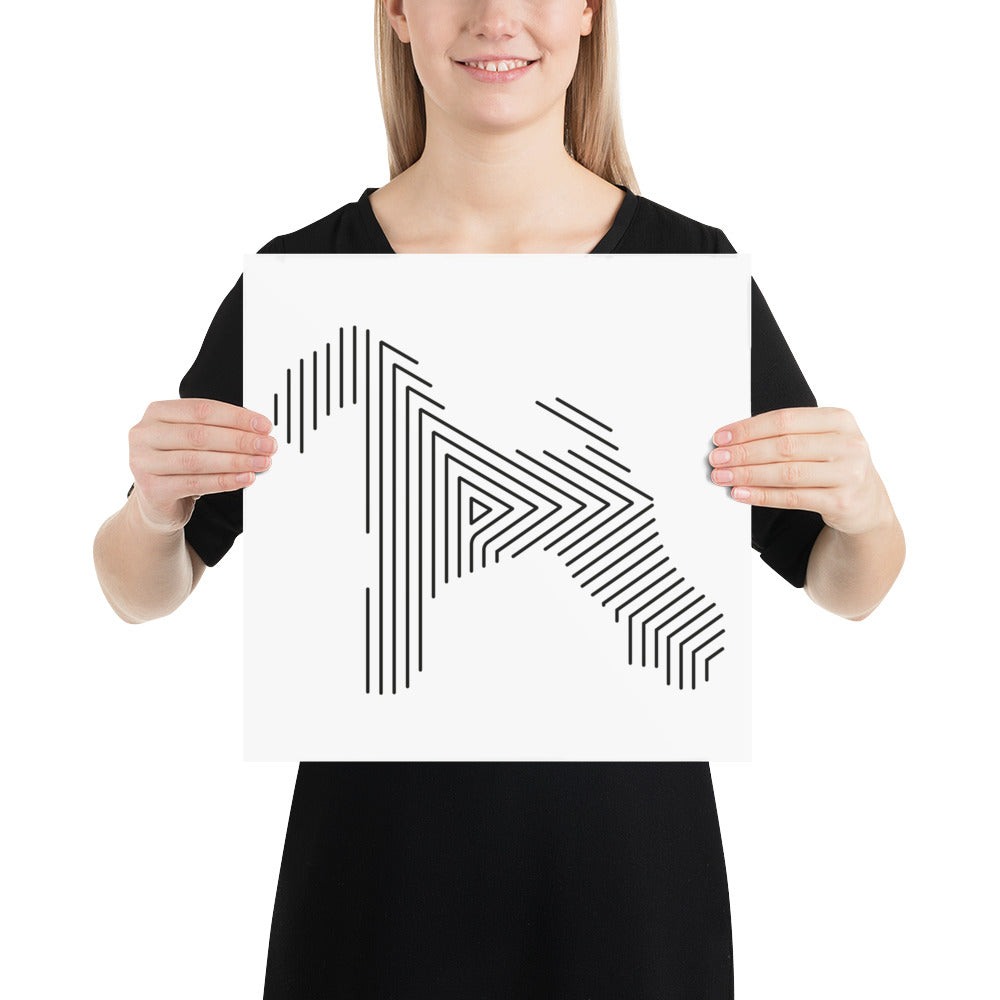 Affiche sur Papier Photo Kerry Blue