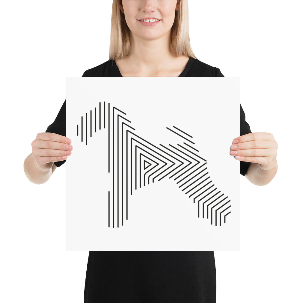 Affiche sur Papier Photo Kerry Blue
