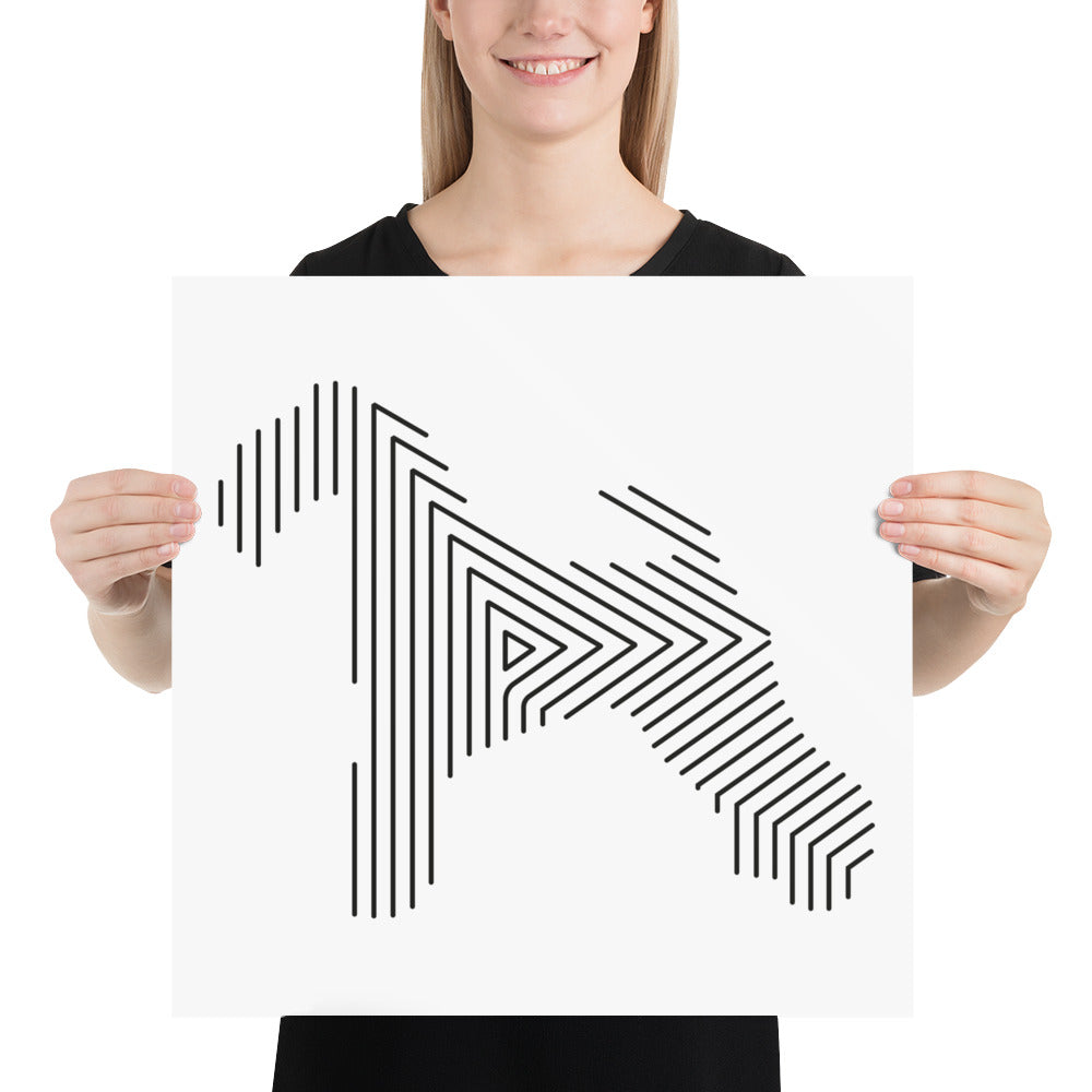 Affiche sur Papier Photo Kerry Blue