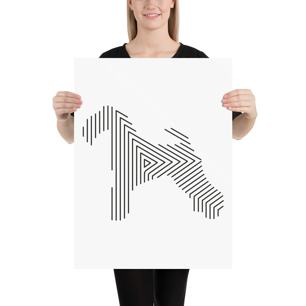 Affiche sur Papier Photo Kerry Blue