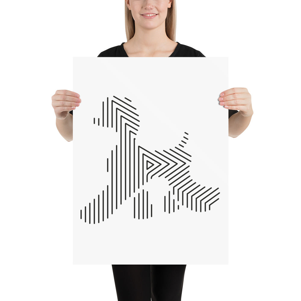 Affiche sur Papier Photo Caniche