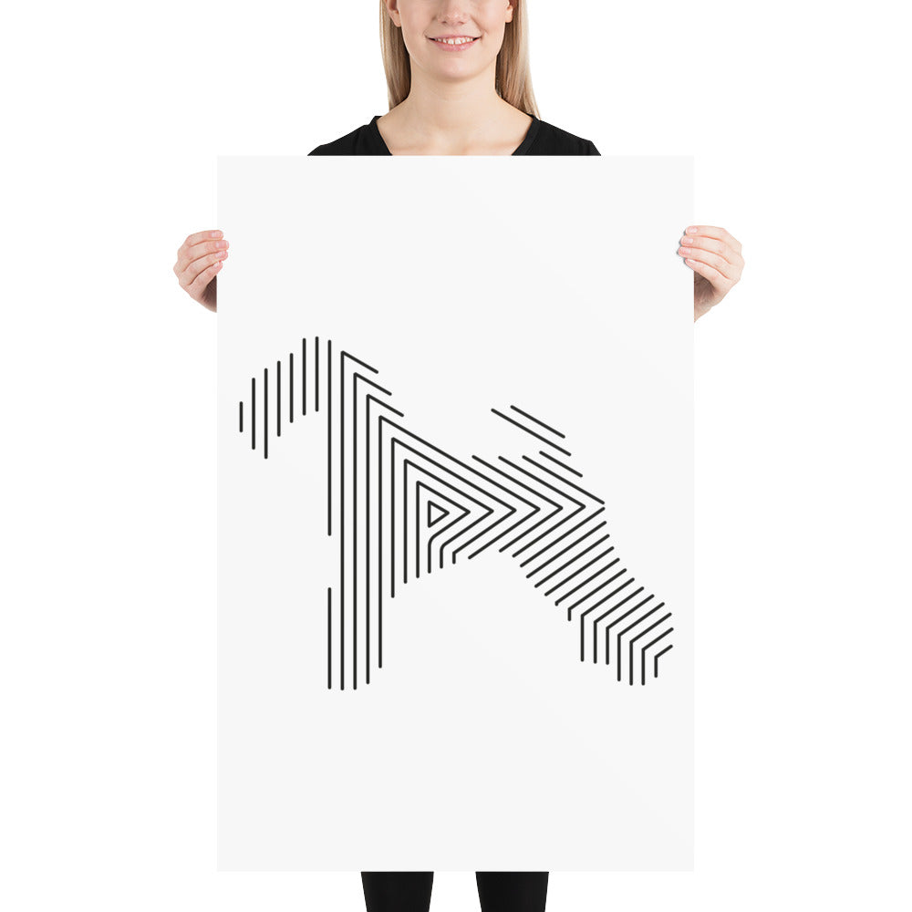 Affiche sur Papier Photo Kerry Blue