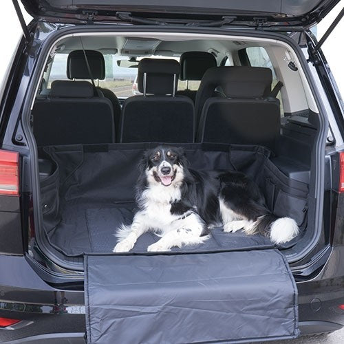 Protecteur de démarrage - Petdesign.fr Setter Bakio S.L. Vie Quotidienne pour chien en France, produit de haute qualité