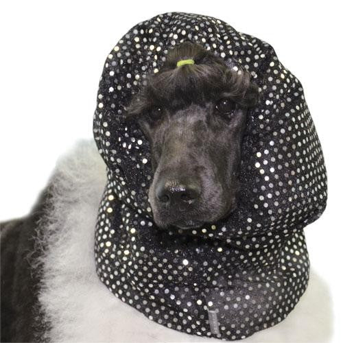 Snood Ear Protection - Isole du bruit et Calme pendant toilettage - Petdesign.fr Setter Bakio S.L. Toilettage pour chien en France, produit de haute qualité