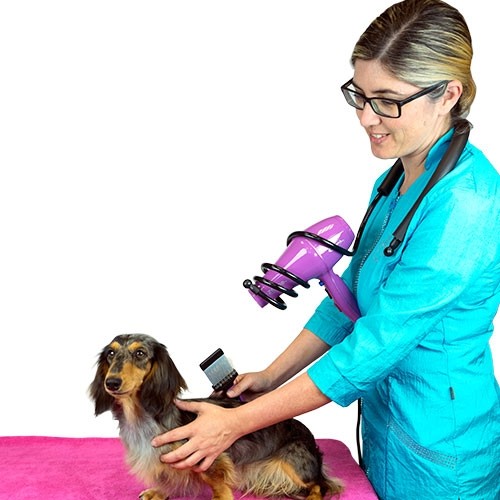 Support Séchoir pour travailler les mains libres - Petdesign.fr Setter Bakio S.L. Toilettage pour chien en France, produit de haute qualité