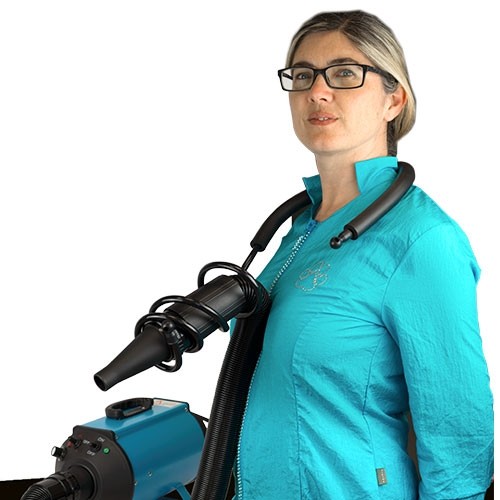 Support Séchoir pour travailler les mains libres - Petdesign.fr Setter Bakio S.L. Toilettage pour chien en France, produit de haute qualité