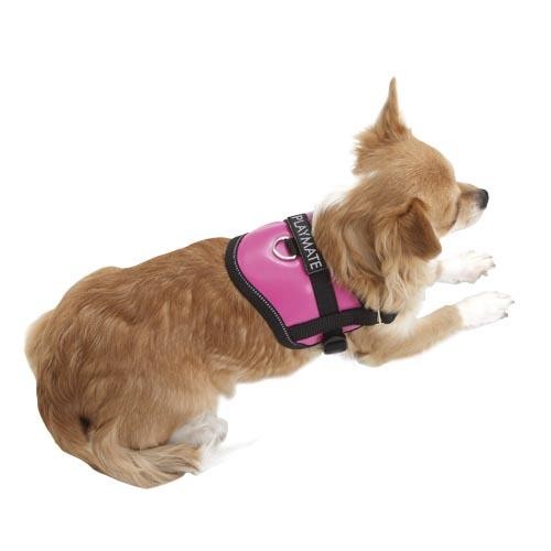 Teeny-Weeny Harnais - Petdesign.fr Setter Bakio S.L. Vie Quotidienne pour chien en France, produit de haute qualité