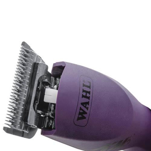 Wahl KM5 (filaire) - Petdesign.fr Setter Bakio S.L. Toilettage pour chien en France, produit de haute qualité