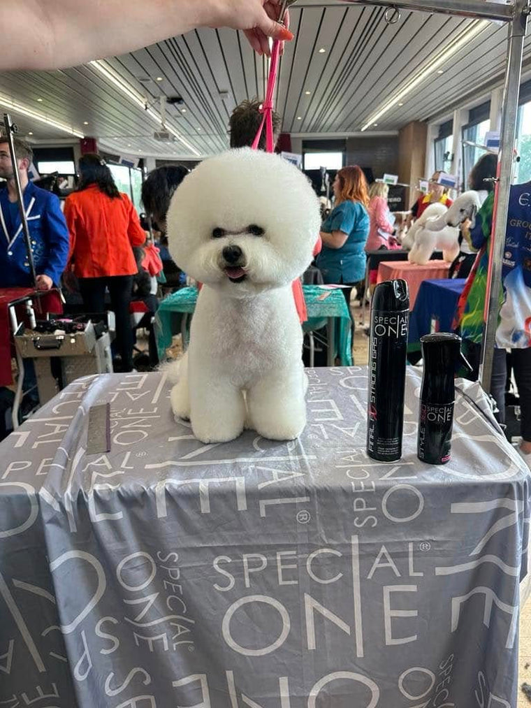 Grooming Art : Allison y a participé avec succès !