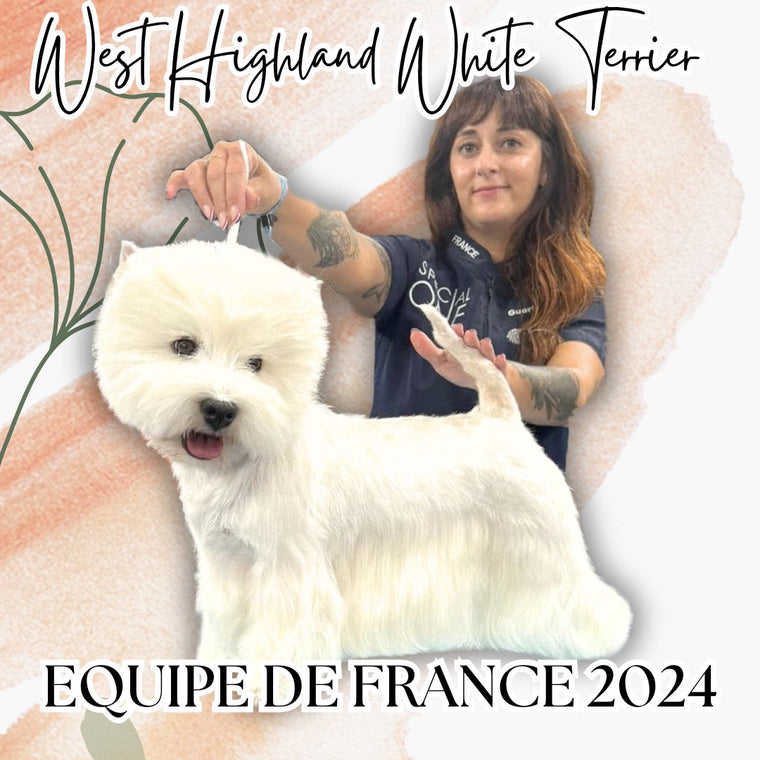 Secrets du Toilettage de Westie par Aurore Guérin x Special One