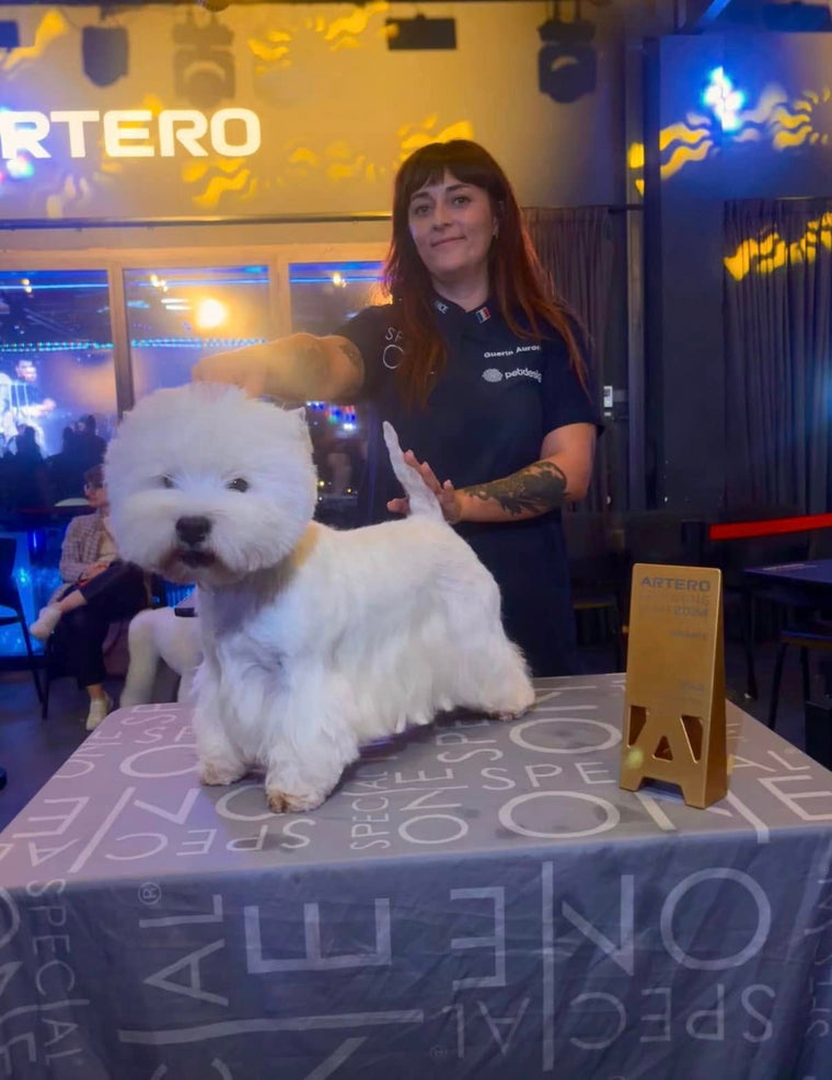 Les toiletteurs Special One brillent lors du Artero Grooming Slam 2024