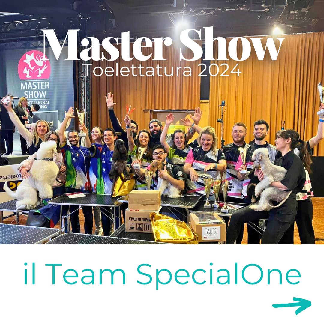 Special One grooming team au Master Show !