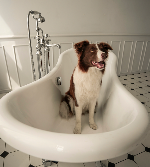 Cosmétique : quels sont les bienfaits du bain ?