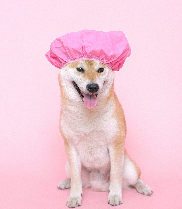 Cosmétique : Shampoings
