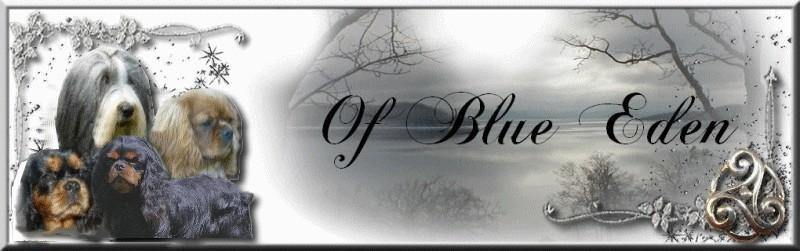 Carole Froidure, de l'élevage of Blue Eden vous conseille pour vos chiots - PetDesign.fr