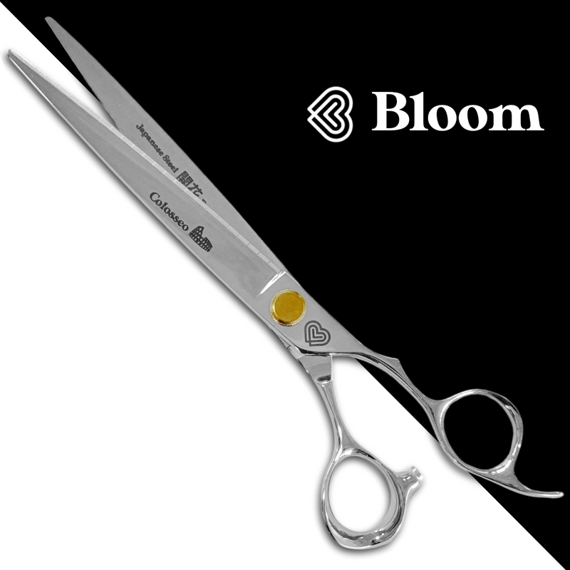 Colosseo - Ciseaux droits Bloom (19 cm) Traitement Special tech