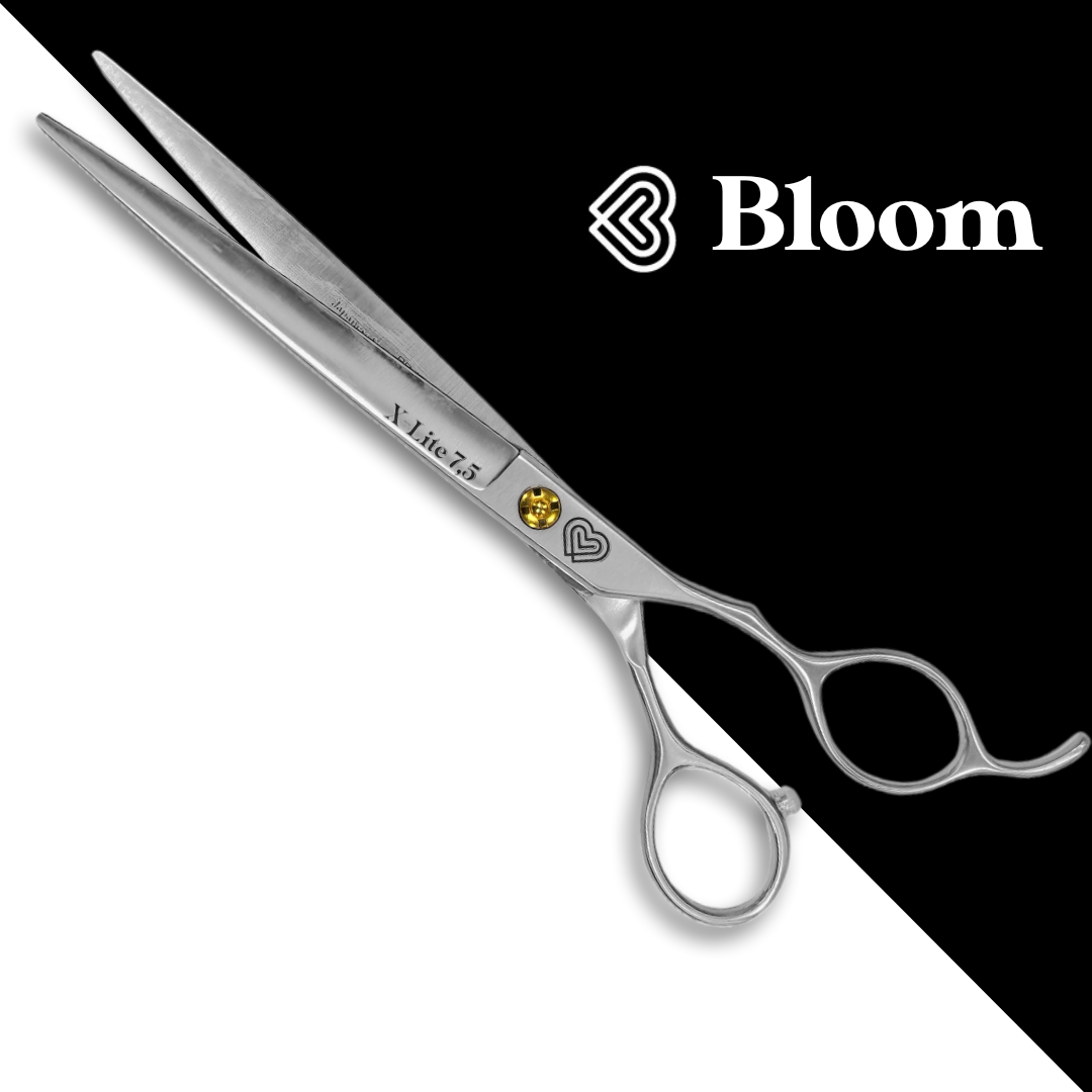 X-LITE ☆ Droits 19cm ☆ Ciseaux Bloom