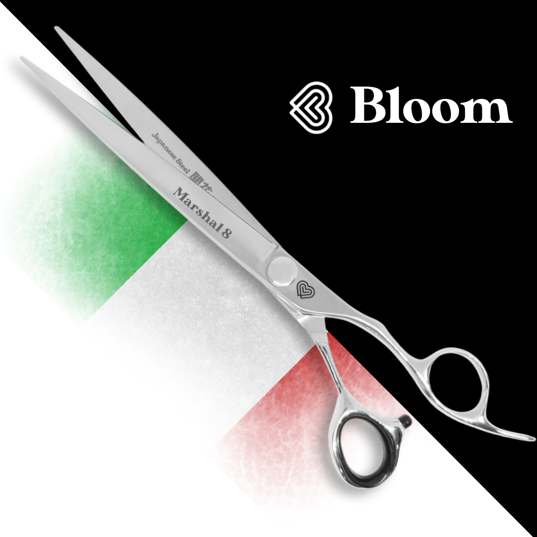 MARSHAL ☆ Droits 20cm ☆ Série Speciale 🇮🇹 Bloom