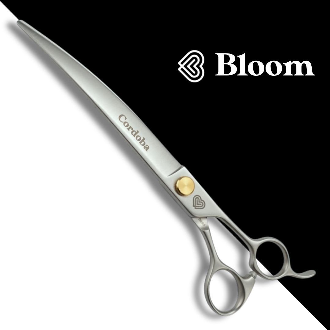 Cordoba ☆ Courbes larges 20cm 30° ☆ Ciseaux Bloom
