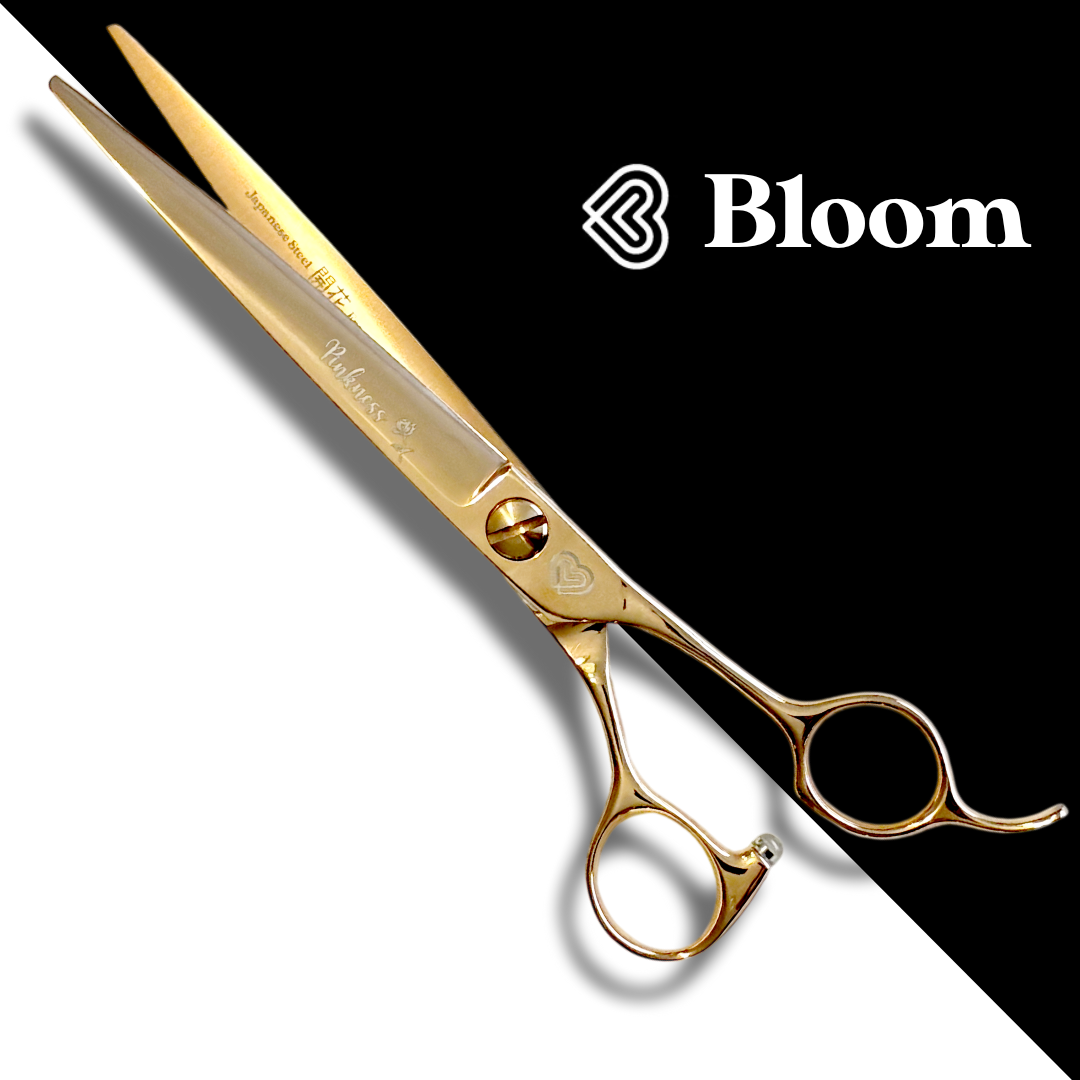 PINKNESS ☆ Droits 19cm ☆ Ciseaux Bloom