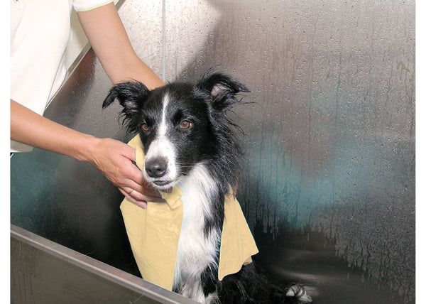 Ultra Absorbent Towel for Quick Dry Grooming