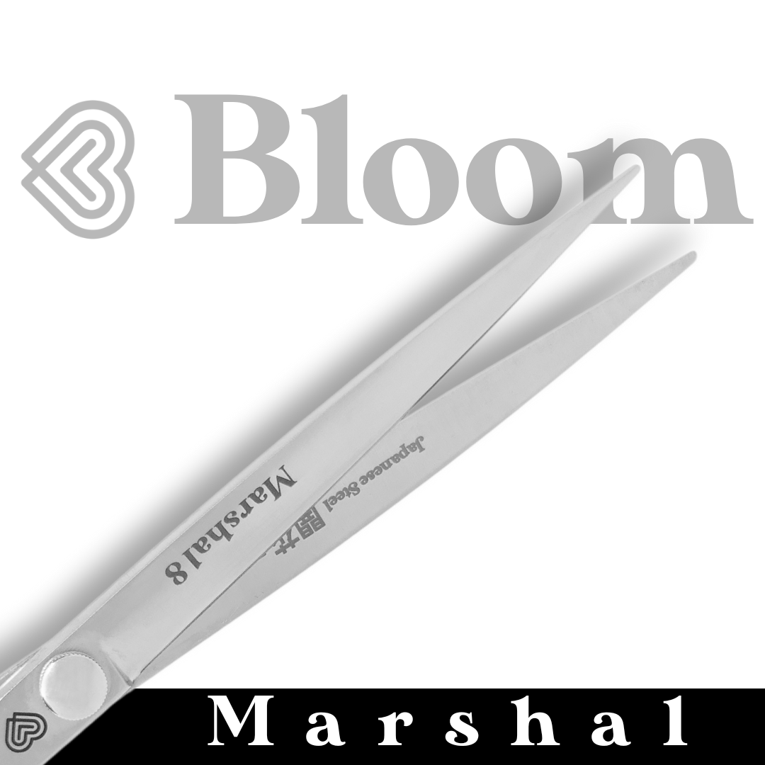 MARSHAL ☆ Droits 20cm ☆ Série Speciale 🇮🇹 Bloom