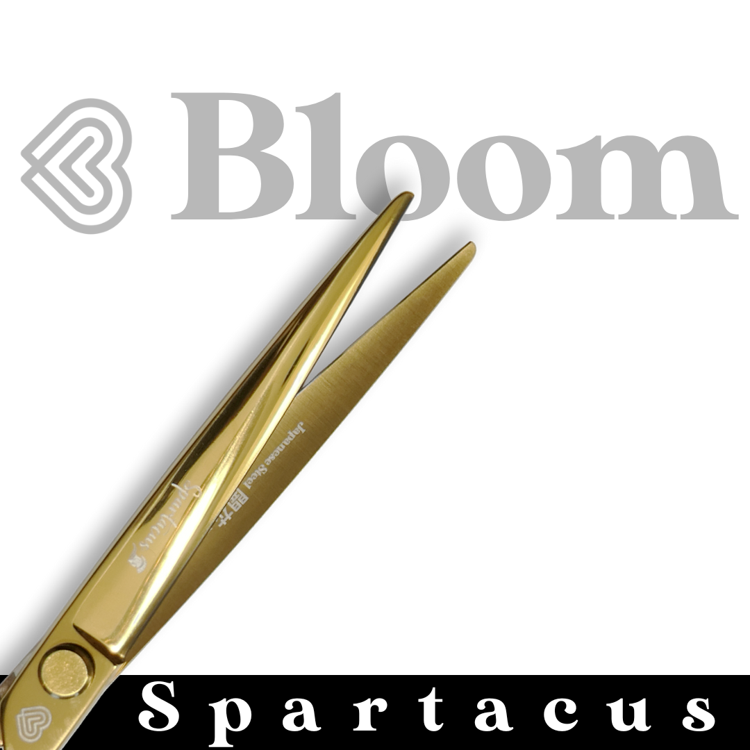 SPARTACUS ☆ Droits 19cm ☆ Ciseaux Bloom