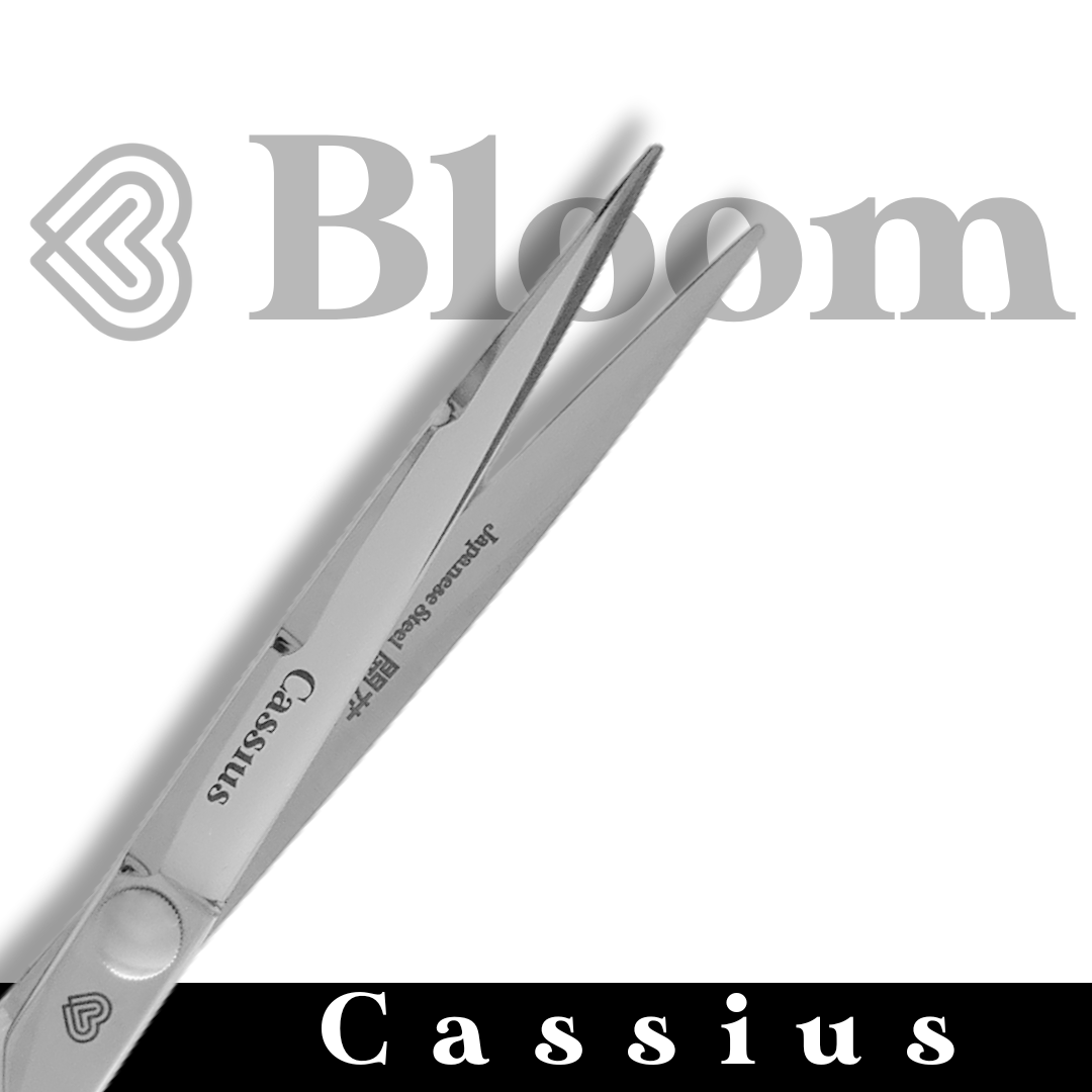 CASSIUS ☆ Droits micro-dentés 20cm ☆ Série Speciale 🇮🇹 Bloom