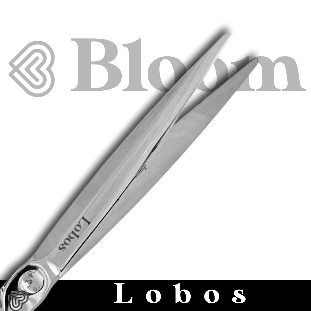 lobos ciseaux droits 70g