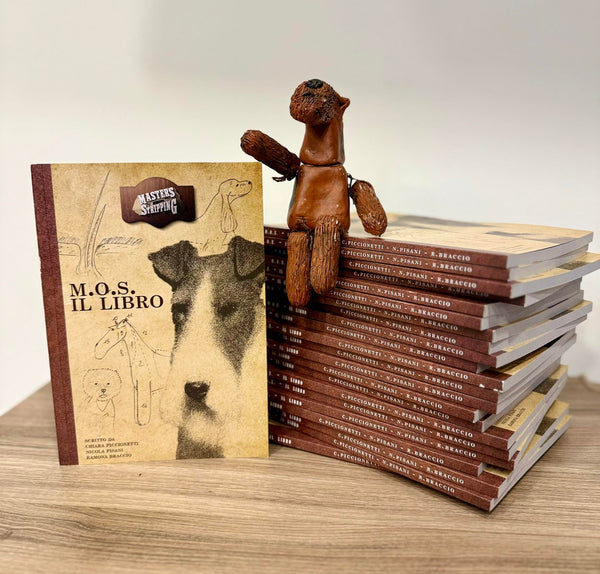 Masters Of Stripping (M.O.S.) Book in English by Chiara Piccionetti, Nicola Pisani and Ramona Braccio