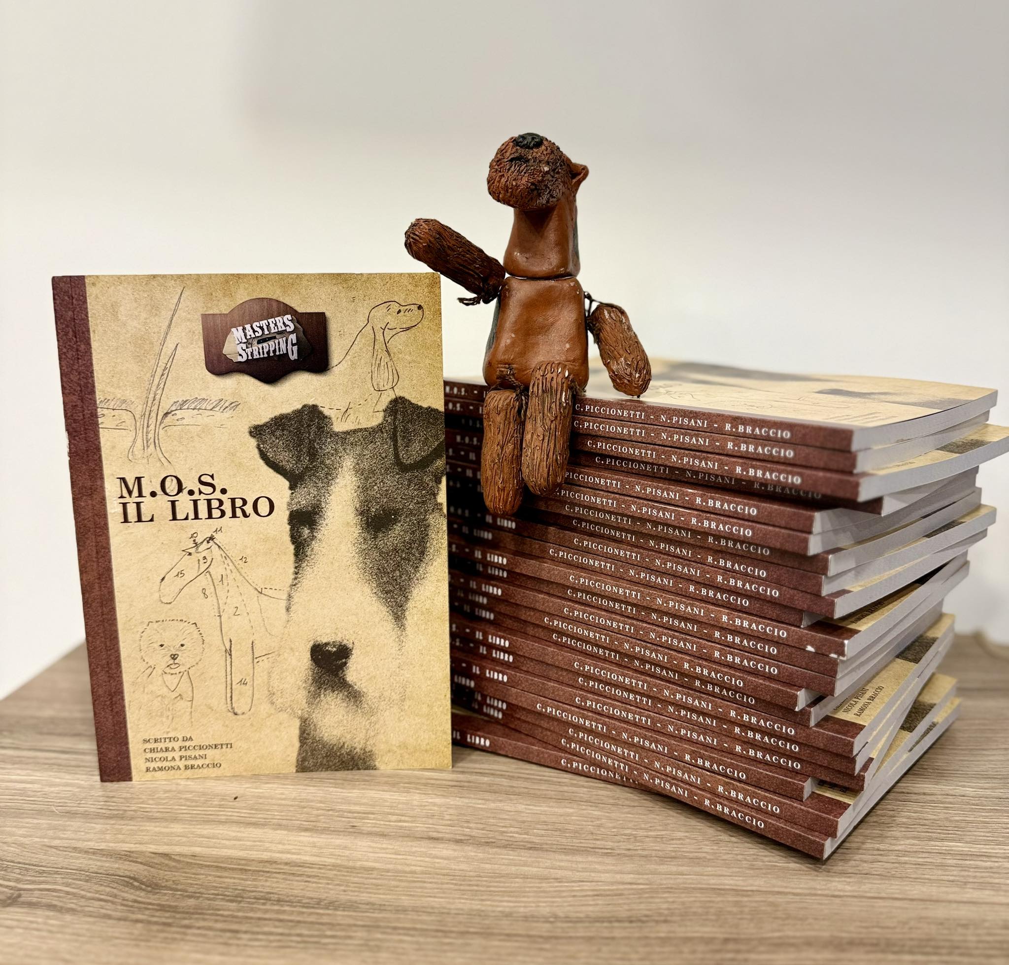 Masters Of Stripping (M.O.S.) Livre en Anglais par Chiara Piccionetti, Nicola Pisani et Ramona Braccio