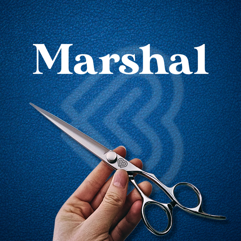 Marshal - Ciseaux Droits 20cm 8" Bloom - Série Speciale 🇮🇹