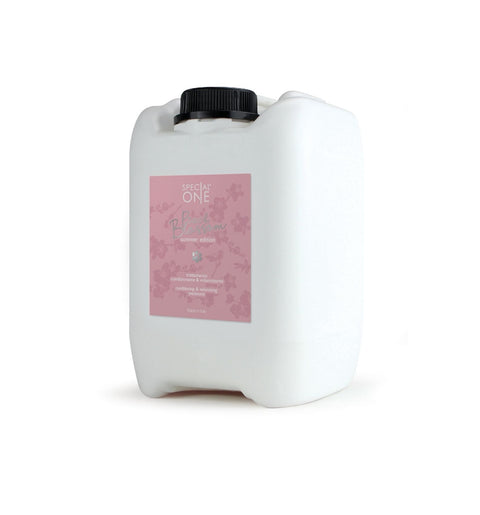 shampoing volume toutes races salon de toilettage