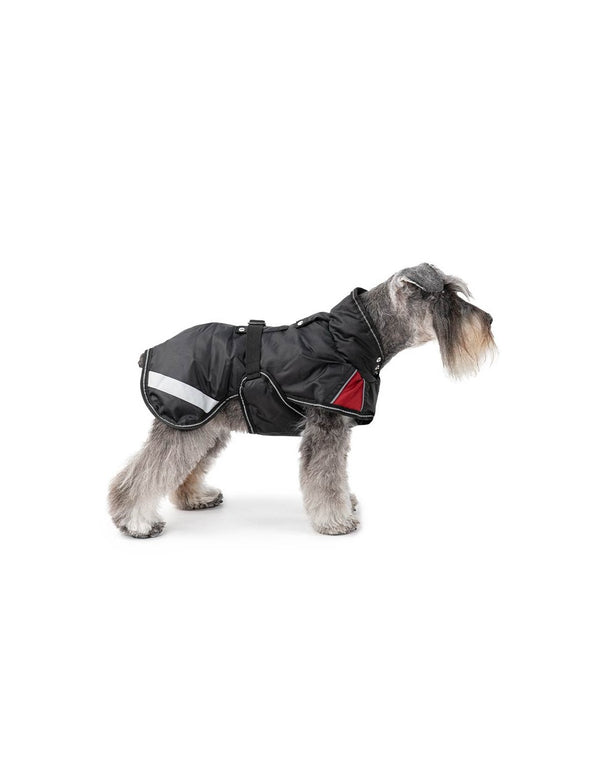 Manteau Chien Street Breathe Comfort