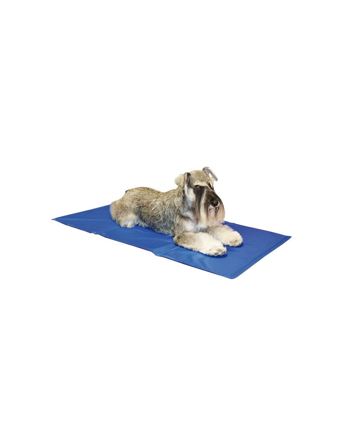 Tapis rafraichissant IBA – photo 2