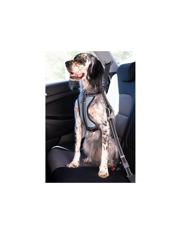 IBÁÑEZ Dogway VOITURE AVEC SELLERIE DE CEINTURE DE SECURITE S