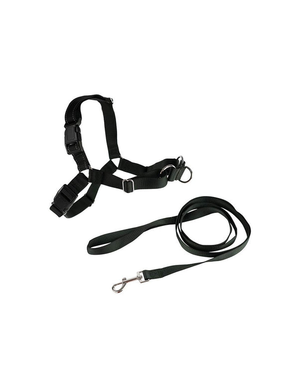 Harnais anti-traction Ibáñez Dogway