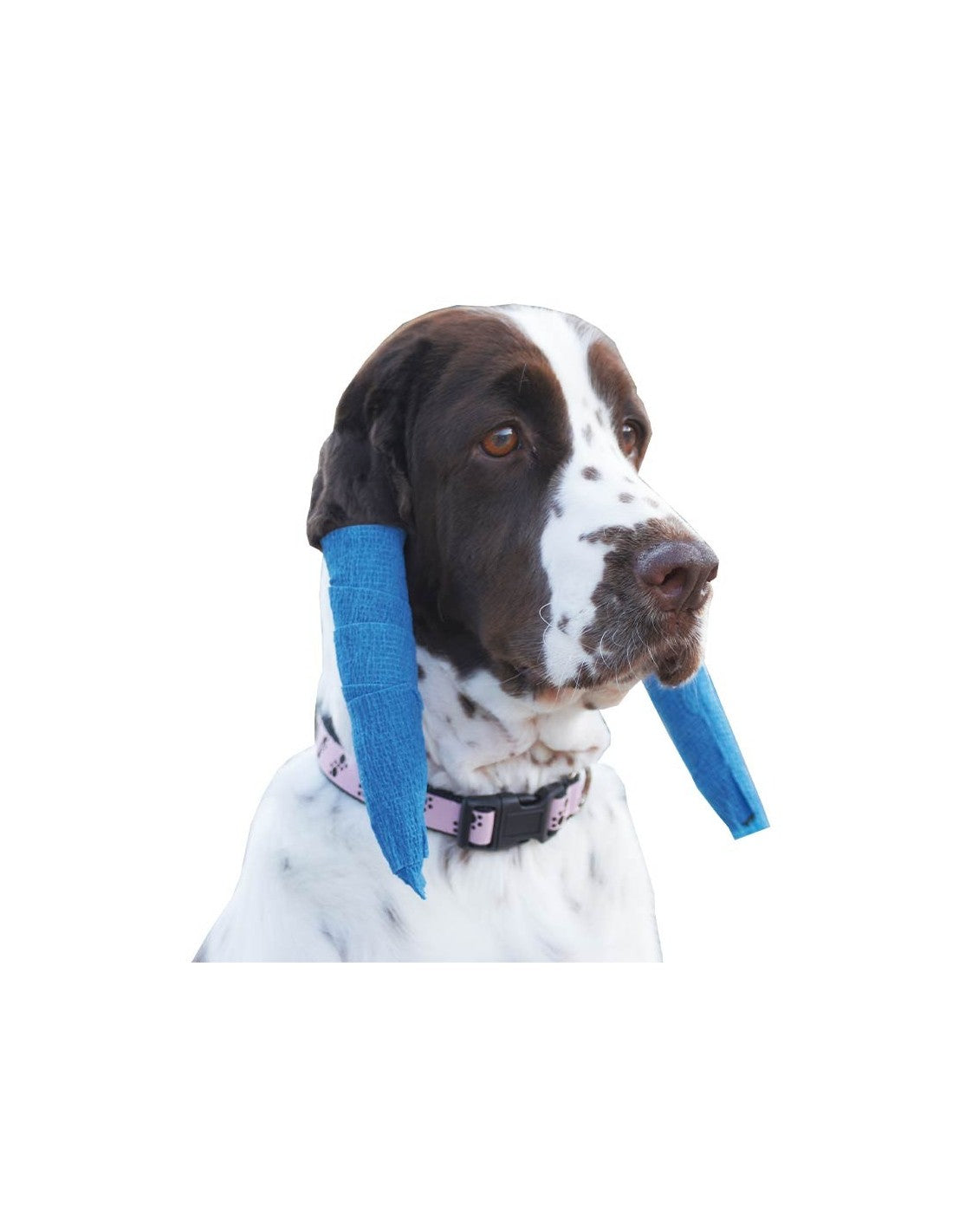 Bandage Elastique Cohésif Wrap pour chien – photo 3