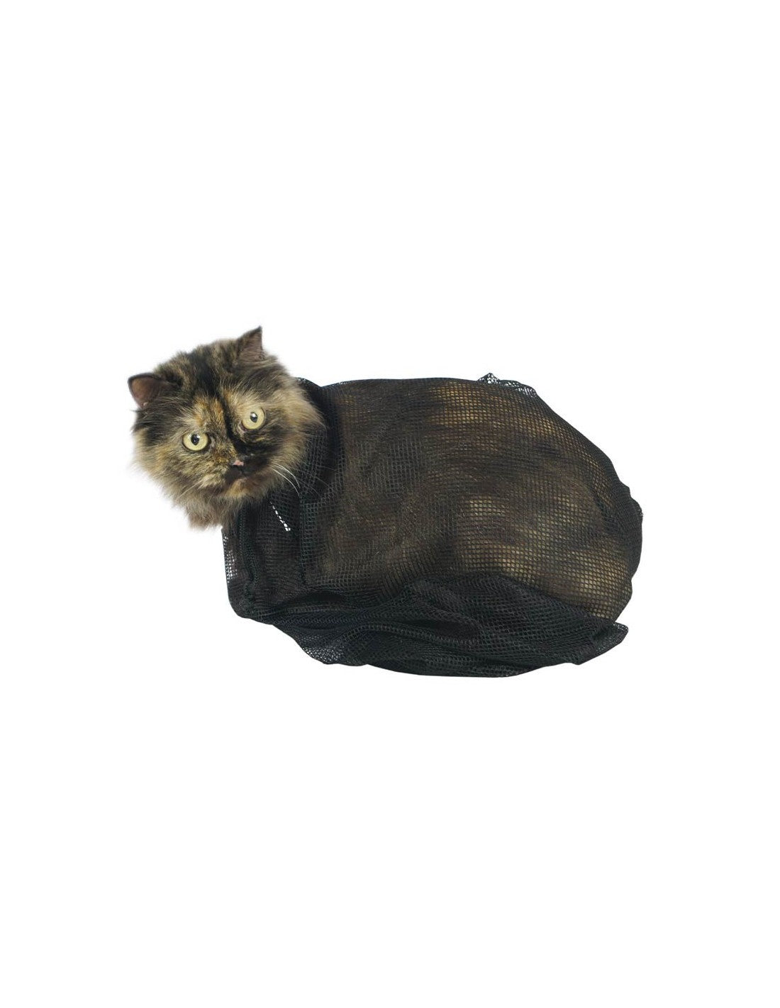 Filet pour Toilettage Chat – Maintien du corps en sécurité