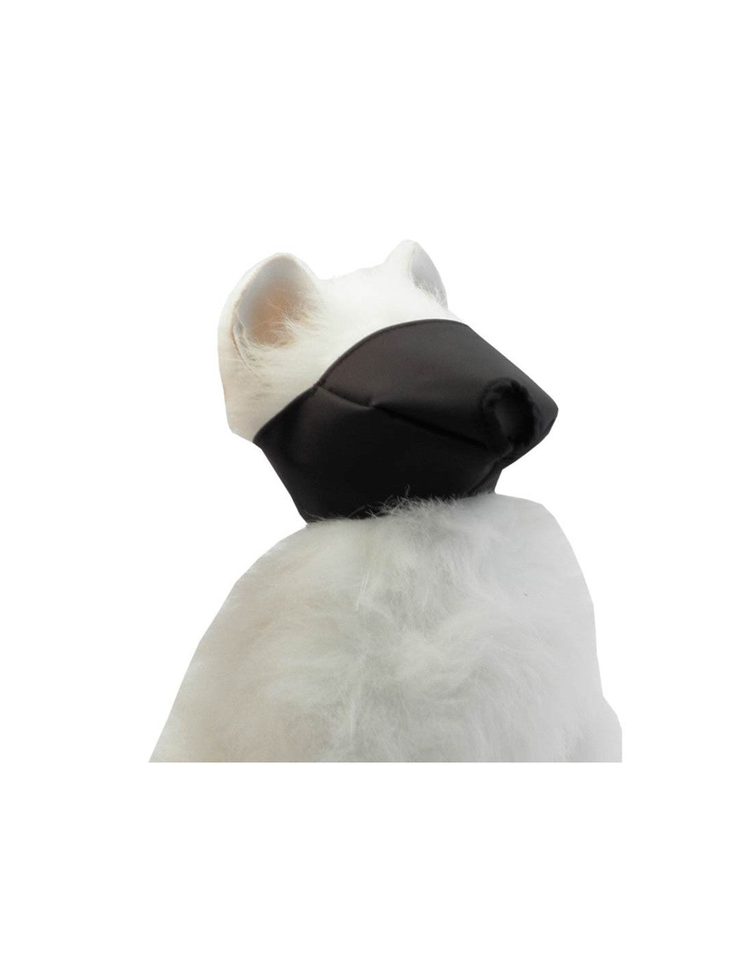 ▷ Muselière Chat ▷ Catalogue Premium | dès 5,80 €