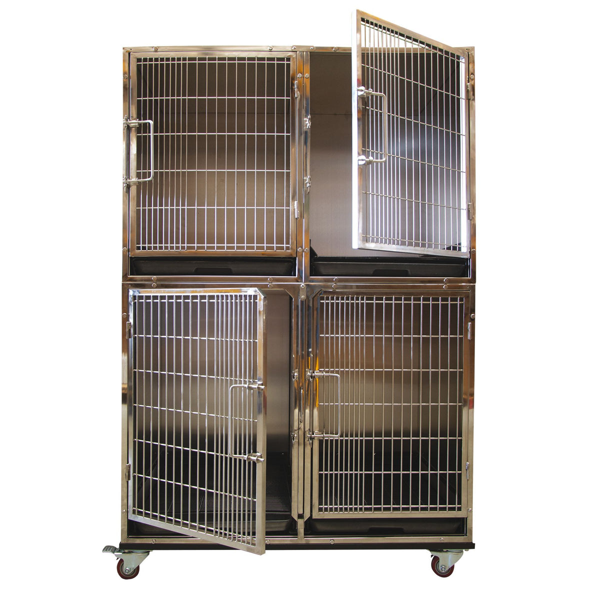 Cage de gardiennage inox Phoenix : bloc de cages inox vue d'ensemble