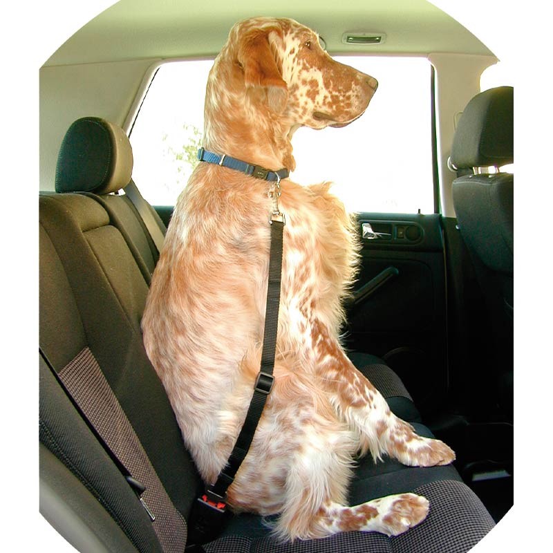 Ceinture de sécurité voiture pour chien Ibáñez Dogway Basic photo 2