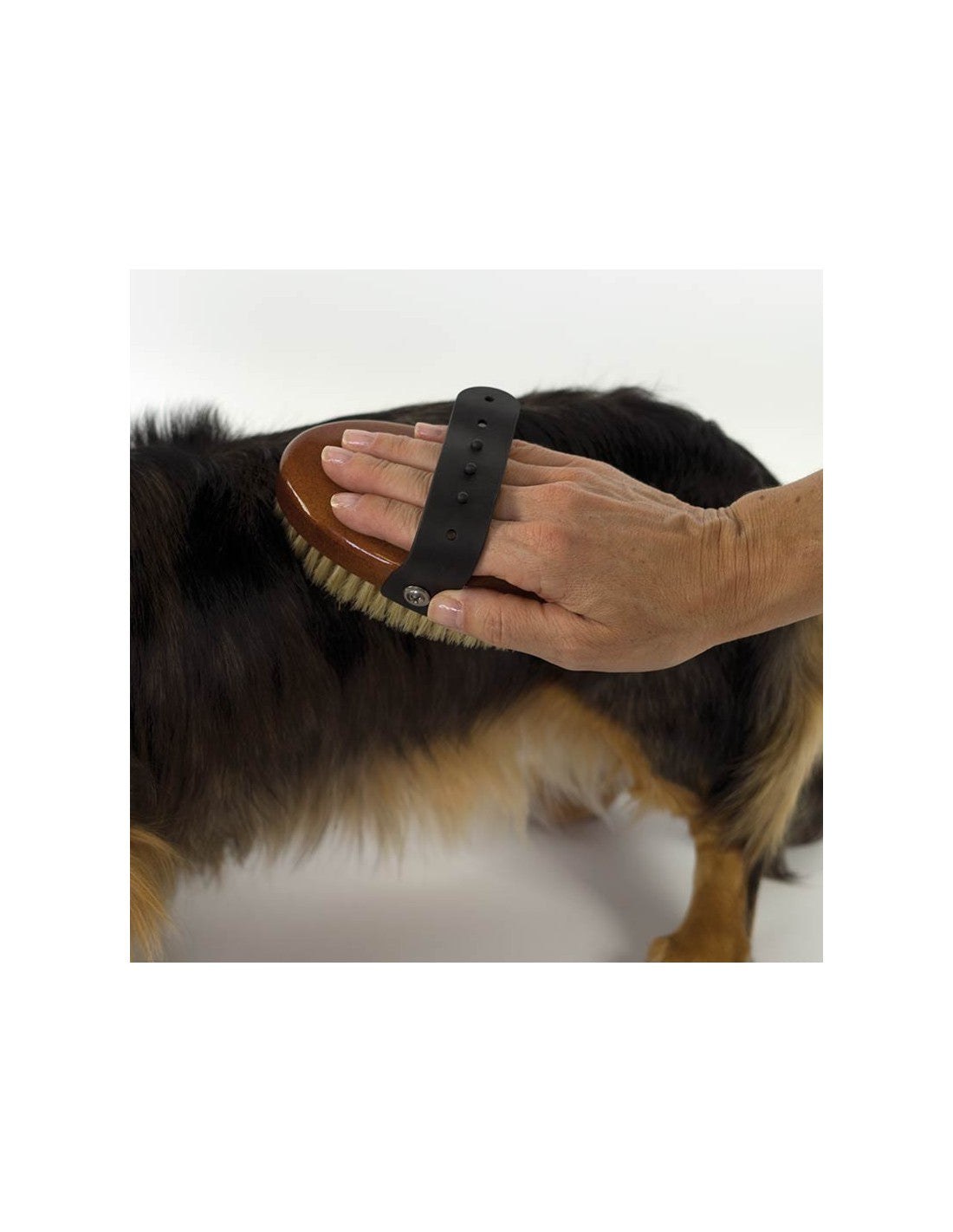Brosse en poil naturel – photo 2