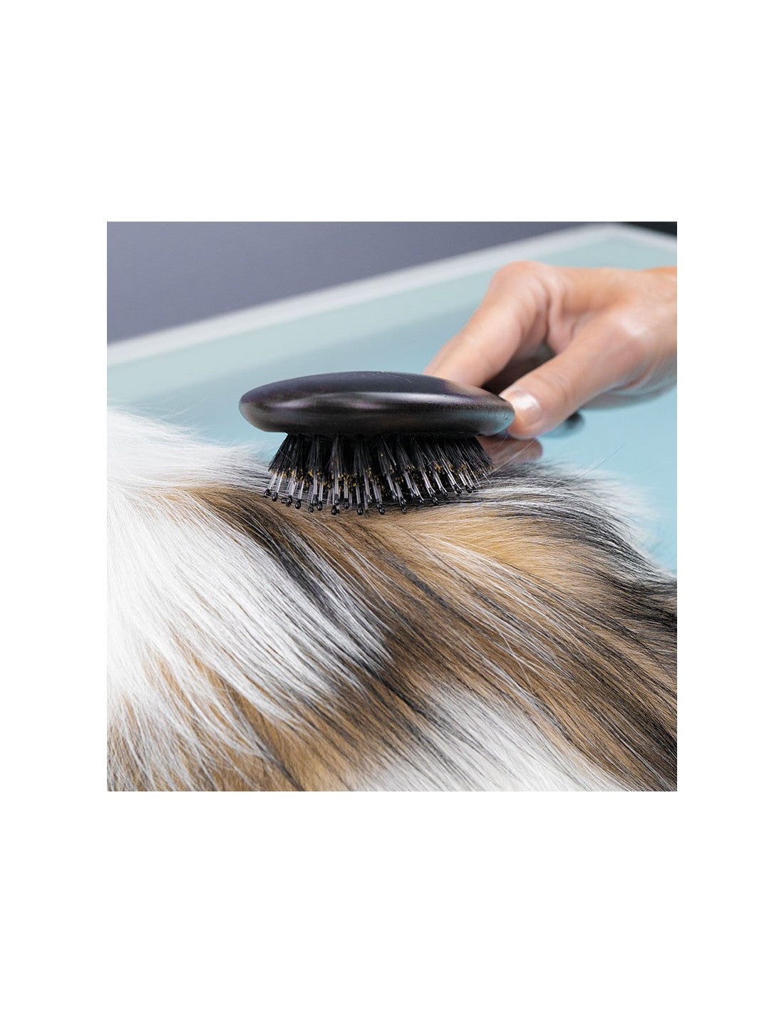 Brosse pour chiens en poils et nylon – photo 2