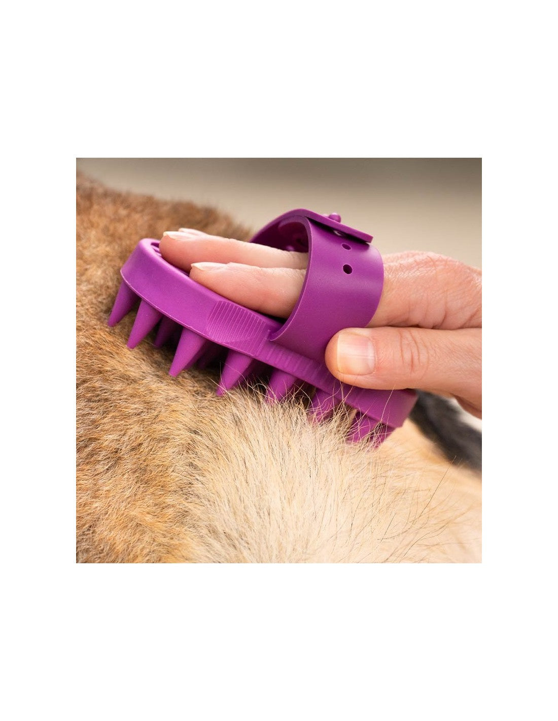 Brosse en Caoutchouc Renforcée pour Chiens – photo 4