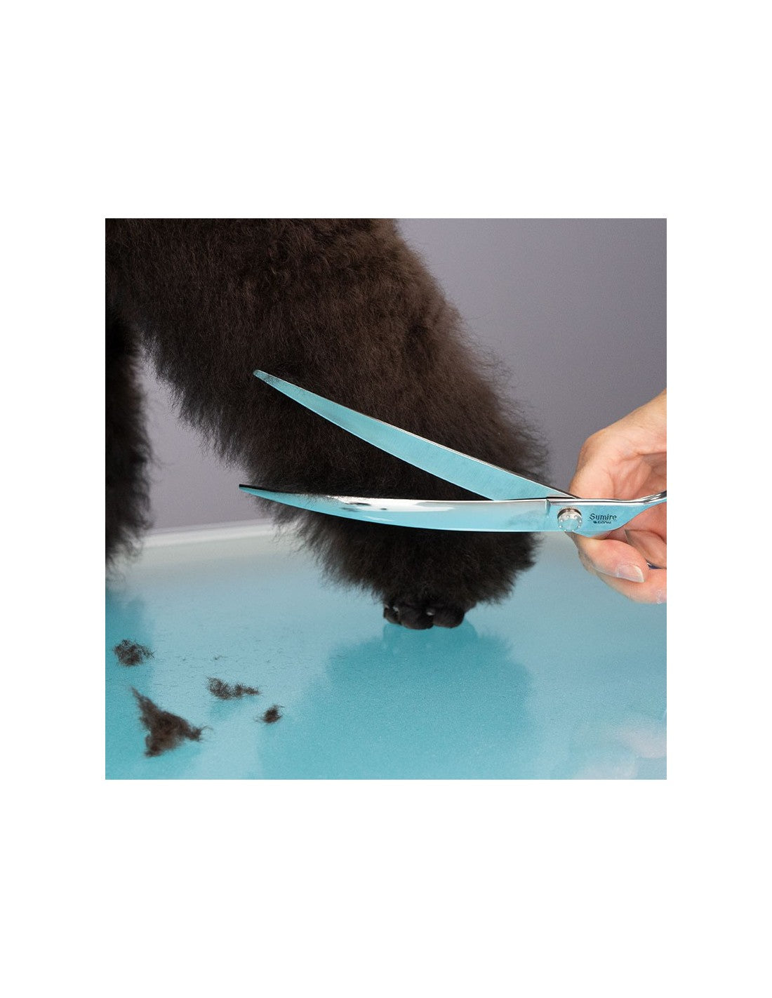 Ciseaux Courbes SUMIRE – photo 2